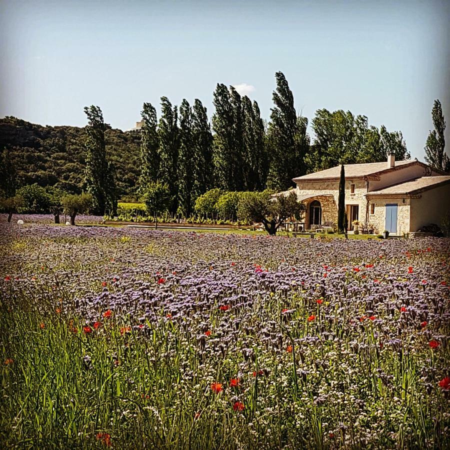 Fontaine de Cérier Bed and Breakfast Castillon-du-Gard Exterior foto